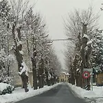 Villa Giusvalla Forest Village *