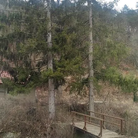 别墅 Giusvalla Forest Village