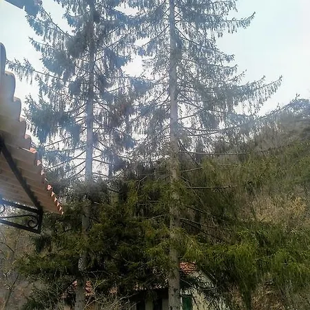 Giusvalla Forest & Retreat, Liguria Вилла Dego