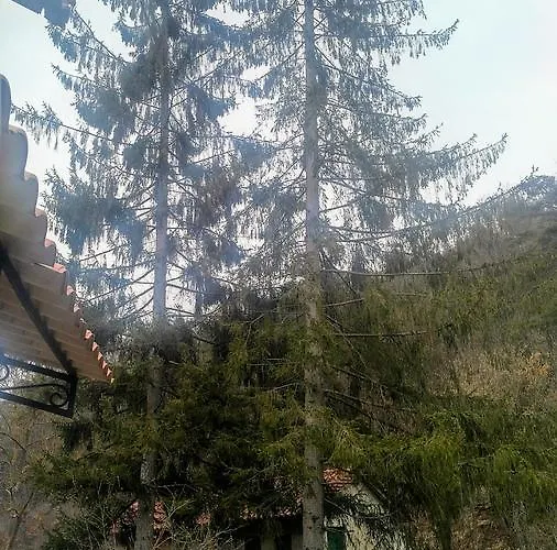 Giusvalla Forest Village Villa Dego