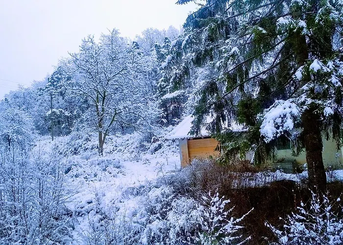 Giusvalla Forest Village Dego